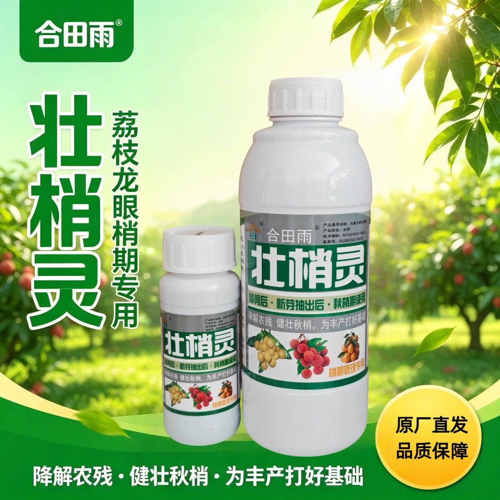 合田雨壮梢灵荔枝龙眼壮枝促长