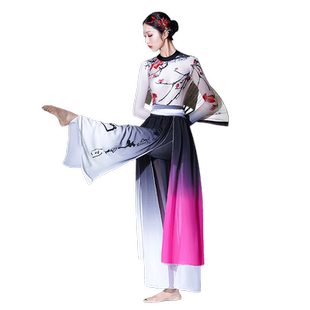 画梅古典舞演出服装一剪梅舞蹈服装扇舞剑舞伴舞新款服装男女套装