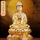 台湾纯铜贴金观音菩萨家用供奉观音佛像南海观世音菩萨像客厅摆件