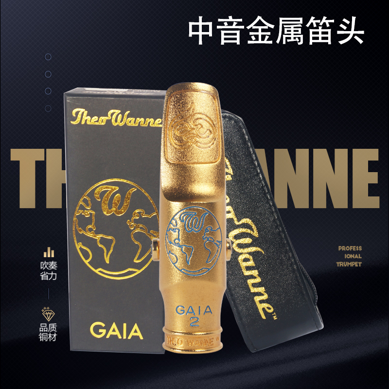 . 美国THEO WANNE GAIA 2系列 中音金属笛头