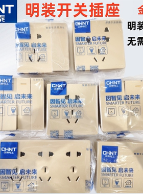 正泰开关插座明装1H白色单开双控五孔空调16A家用金色86型十五孔