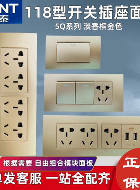 正泰118型开关插座面板香槟金色五孔九孔十五孔家用暗装长方形5Q