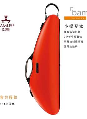 [实体店]法国bam Hightech高科2000XL箱轻便1.9kg小提琴琴盒箱