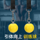 健身家用器材引体向上辅助训练球练臂肌力小臂力量腕力指力握力球