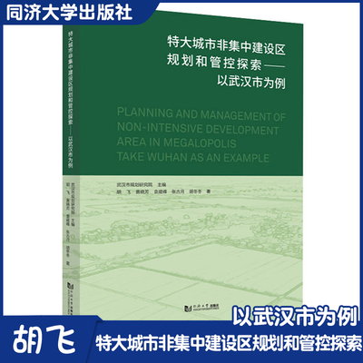 特大城市集中建设规划管控探索
