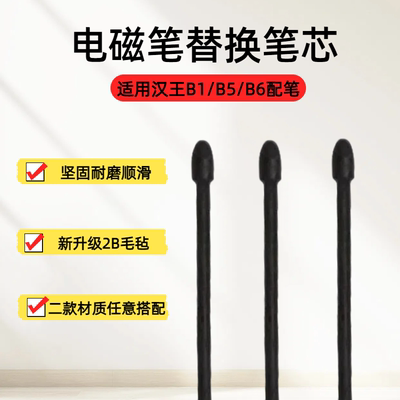 适用于汉王龙葵笔B1B5B6笔芯尖头