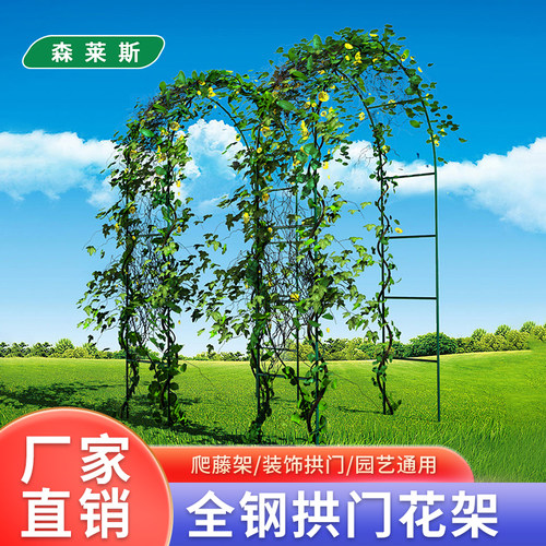 铁艺拱门花架丝瓜蔷薇月季攀爬