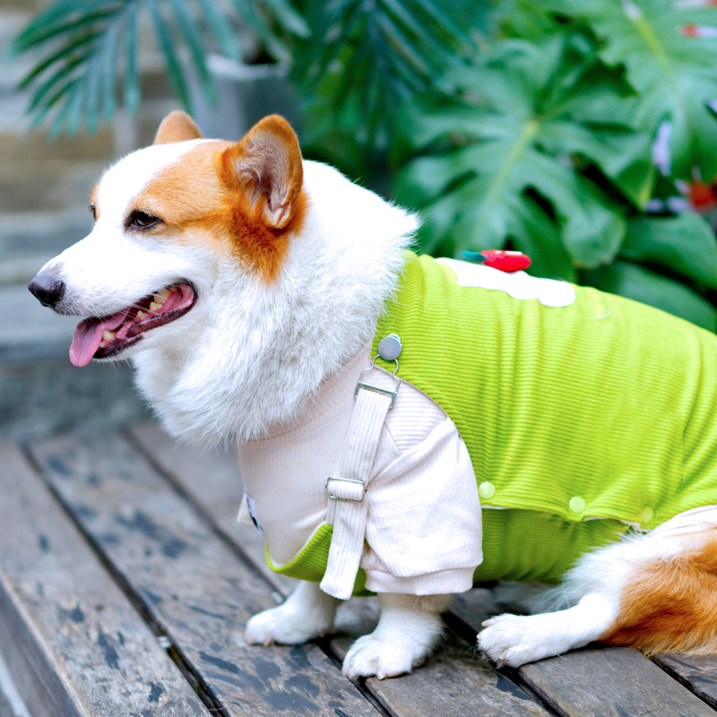 Tiger dog秋冬加绒加厚柯基柴犬边牧灯芯绒吊带背带中小型犬衣服
