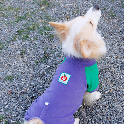 宠物狗狗包肚四脚衣秋冬柯基柴犬串串小狗保暖加绒衣服