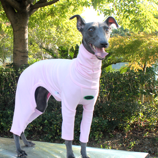 TIGERDOG小灵缇犬惠比特贝灵顿梗犬狗狗细狗打底德绒四脚衣衣服