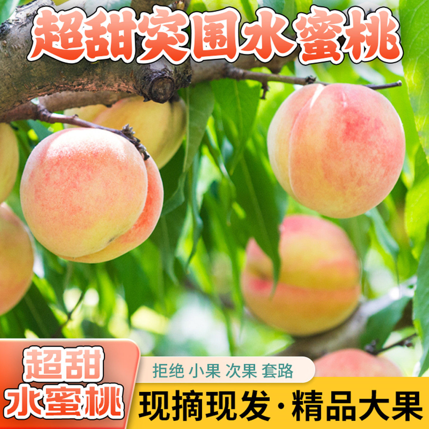 水蜜桃新鲜水果现摘现发砀山突围水蜜桃整箱5斤包邮毛桃大桃子礼
