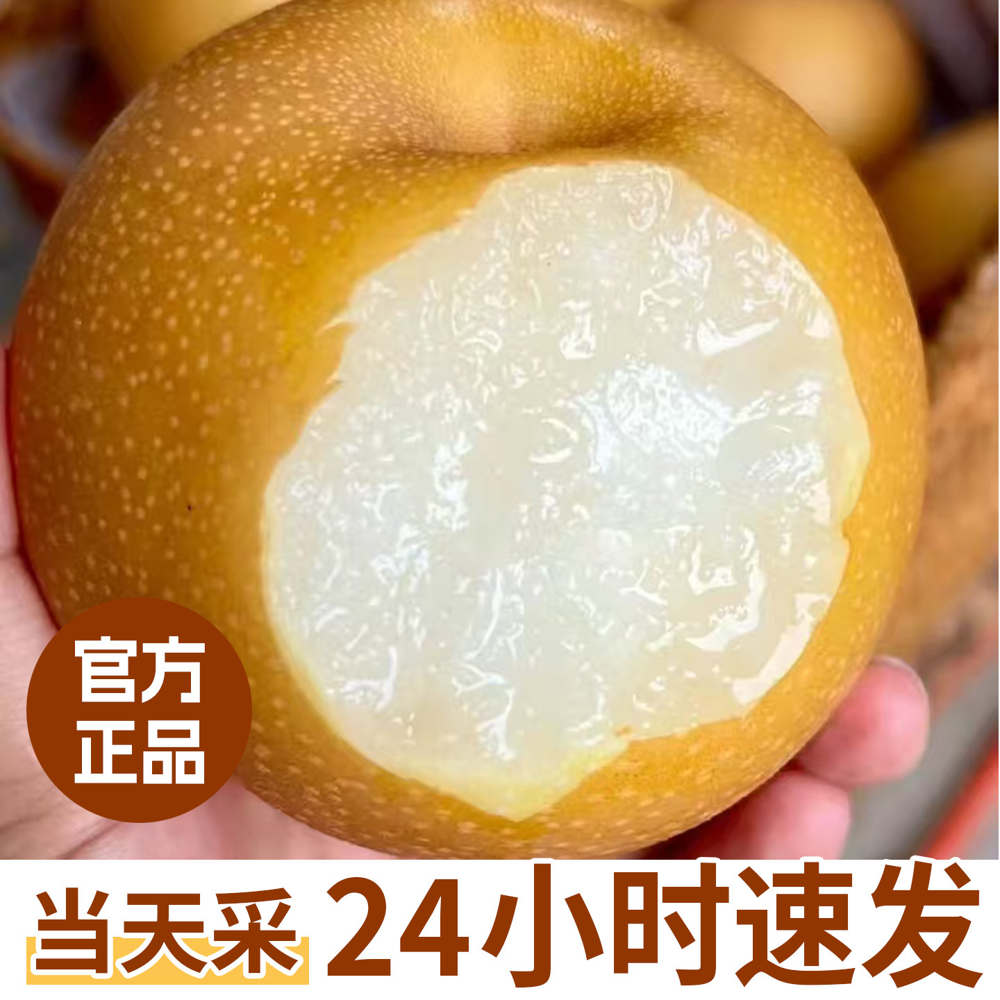 秋月梨脆甜多汁新玉梨顺丰包邮