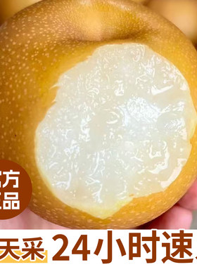 秋月梨脆甜多汁新玉梨顺丰包邮