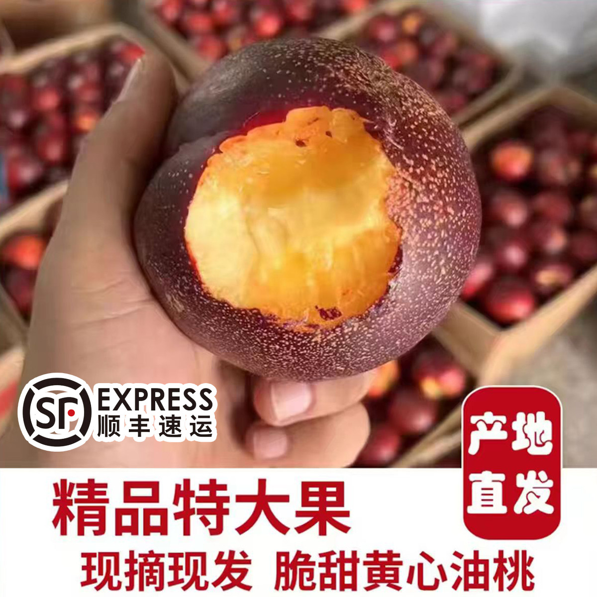 砀山黄心油桃新鲜水果当季现摘现发脆甜露天大油桃产地麻点油桃
