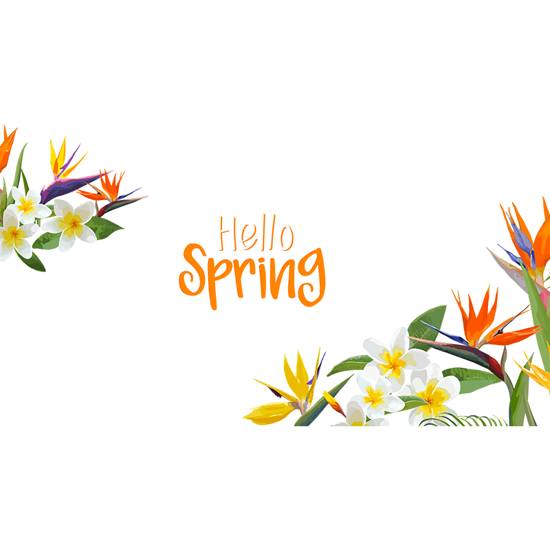 女装店铺布置贴纸春季春天主题橱窗玻璃门贴静电窗贴夏季装饰窗花