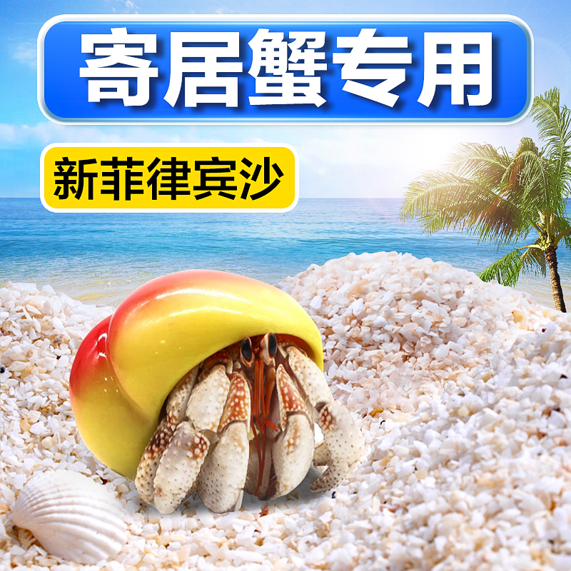 寄居蟹饲养沙垫材新菲律宾沙已洗