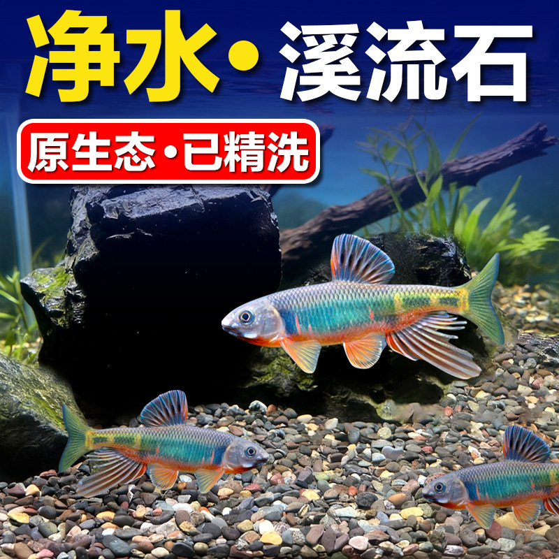 鱼缸造景底砂溪流石头天然装饰沙子原生南美缸鹅卵石乌龟水草铺底,宠物/宠物食品及用品,造景/装饰,淘宝优惠券,粉丝福利购,淘宝优惠卷