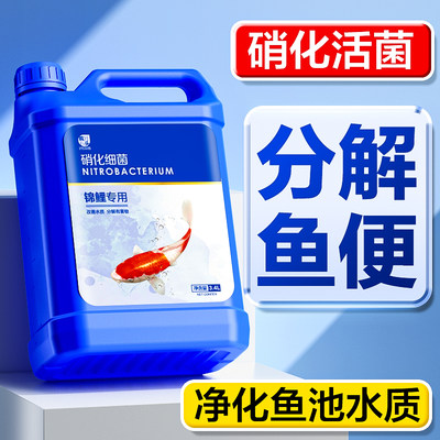 锦鲤鱼池硝化细菌5L净化水质