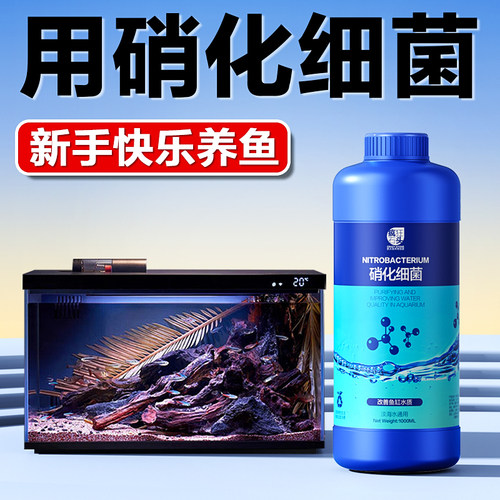用正宗硝化细菌，新手养鱼不费劲