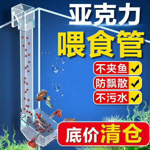 用它！亚克力喂食管喂食不飘散