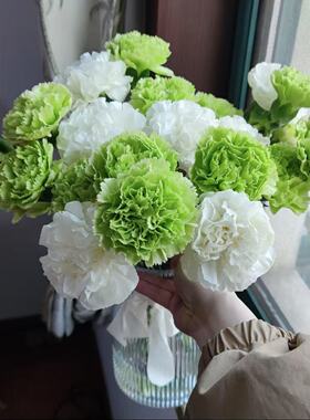 云南康乃馨基地直发家庭生活鲜花新鲜红色粉色混搭康乃馨38节礼物