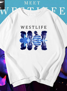 西域男孩westlife演唱会t恤衫短袖摇滚乐队半截袖男女夏衣服体恤