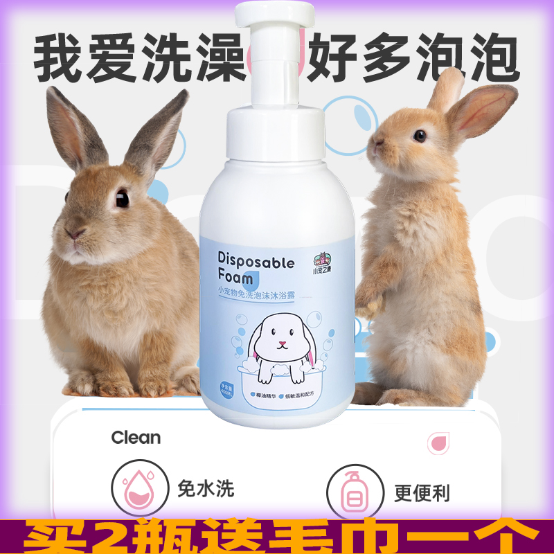 兔子免水洗不会着凉不感冒荷兰猪