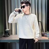 M24-P68编织纹毛衣男秋冬季加厚内搭线衣打底衫休闲针织衫，男装T恤，电商D319