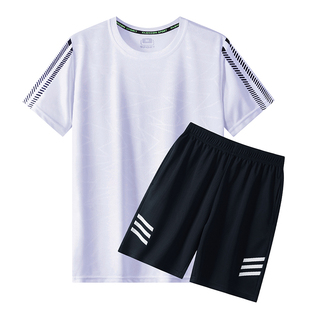 夏季 2024新款 运动球服套装 短裤 圆领休闲T恤男 冰丝速干短袖