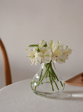 收集时光 Camus say水滴玻璃花瓶 手工吹制 短梗花材适用 包邮