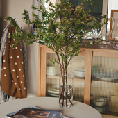 Camus 包邮 say日光森林 马醉木吊钟 直身玻璃花瓶 收集时光