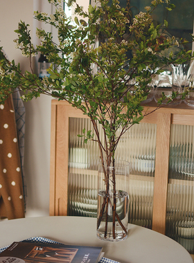 收集时光 Camus say日光森林 直身玻璃花瓶 马醉木吊钟 包邮