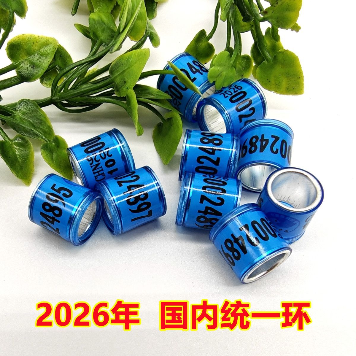 信鸽足环2025年不带证全国统一环鸽子脚环脚环鸽子环赛鸽用品用具