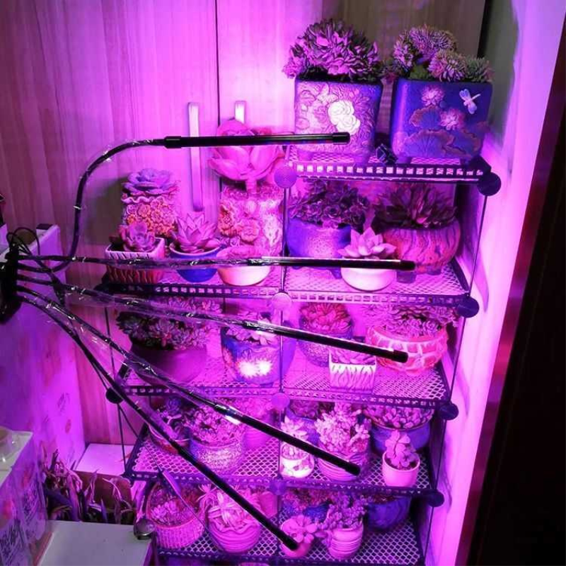 全光谱植物生长灯肉肉LED补光灯管法师家用生长灯夹子款双头灯管