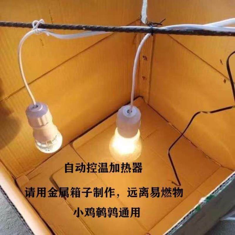 小鸡保温箱育雏箱自动控温幼鸟保温箱育雏保温鸽子鹌鹑野鸡保温箱