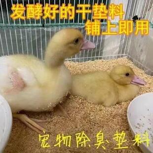 宠物除臭鹌鹑鸭子兔子垫料防臭粪便分解床芦丁鸡发酵床垫料除臭料