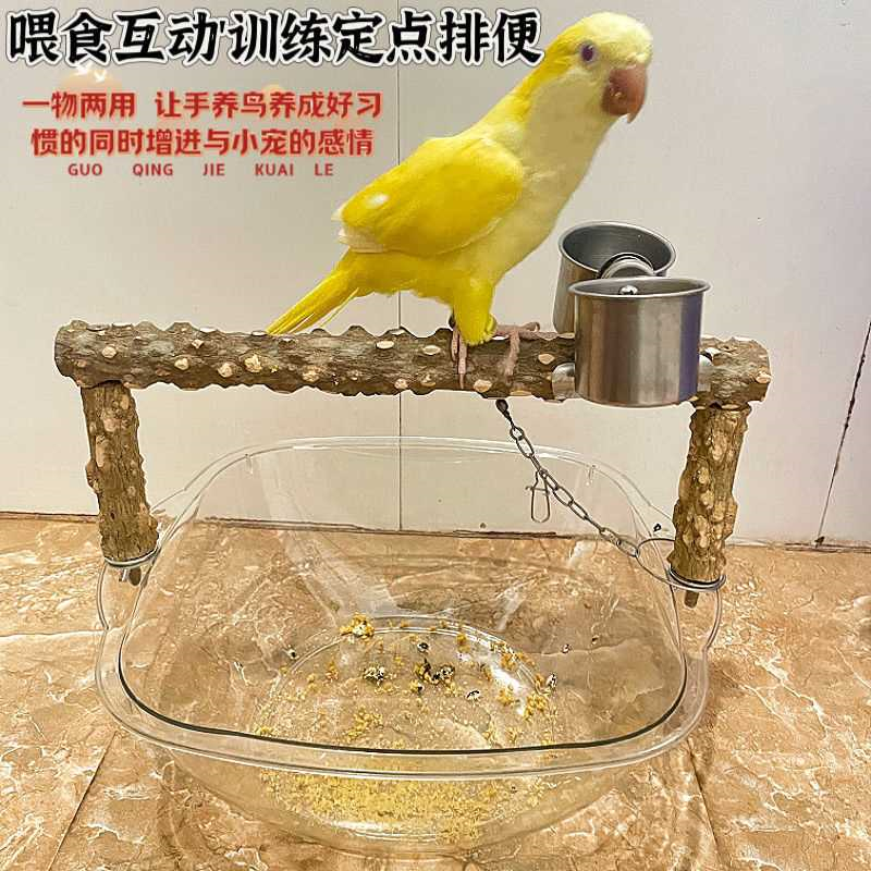 鹦鹉定点排便站架垃圾桶玄凤小太阳拉屎训练神器手养食杯桌面站架
