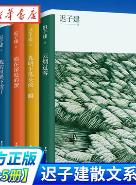 现货速发正版5册迟子建散文系列