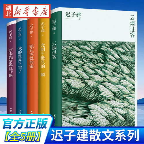 现货速发正版5册迟子建散文系列