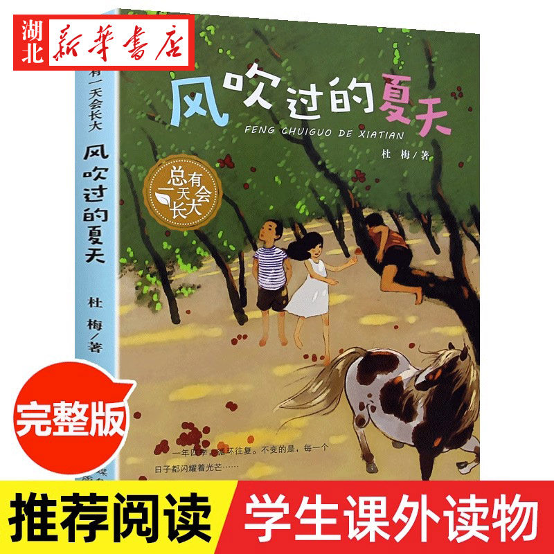 总有一天会长大 风吹过的夏天 深圳市罗湖区四年级三四五六年级儿童课外阅读文学小学生课外阅读书籍读河北少年儿童出版社正版
