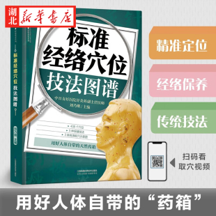 经络穴位人体自带 健康按钮 408个穴位3类高清取穴示意图 标准经络穴位技法图谱 守护您 著 保健技法都收录 身体健康 刘乃刚
