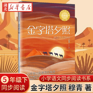 金字塔夕照 新版 小学语文同步阅读书系五年级下册 穆青作品精选集 收录其散文 游记 报告文学等体裁的经典篇章 小学生课外阅读书