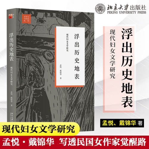 浮出历史地表戴锦华女性主义