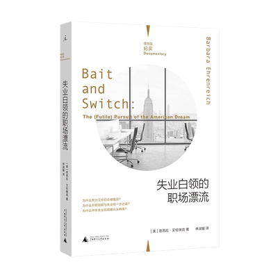 理想国纪实失业白领的职场漂流