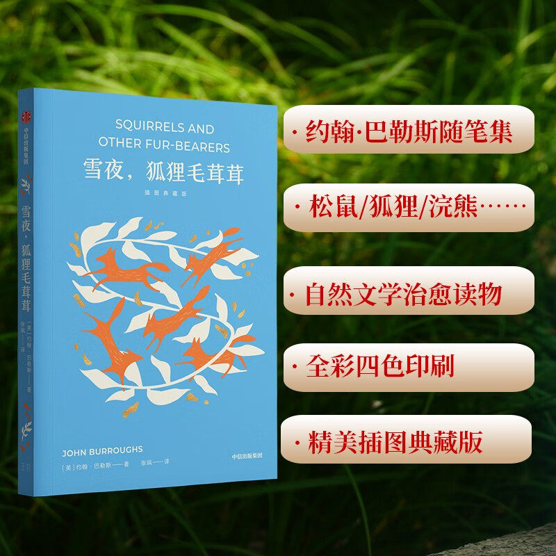 雪夜 狐狸毛茸茸 插图典藏版 约翰·巴勒斯的自然文学代表作 记录山间毛茸茸的动物们的诗意与生活 美国版《万物有灵且美》正版