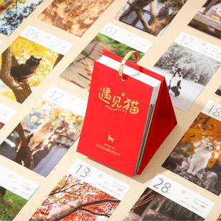 2026遇见猫温暖治愈指南