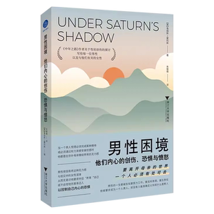 男性困境 他们内心的创伤 恐惧与愤怒 詹姆斯·霍利斯 著 《中年之路》作者关于性别创伤的探讨 写给每一位男性以及有关的女性正版