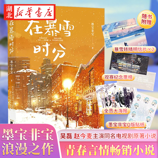 海报 贴纸 在暴雪时分 墨宝非宝作品吴磊赵今麦主演同名电视剧原著小说 明信片 新版 青春言情小说畅销书正版 赠纪念票根