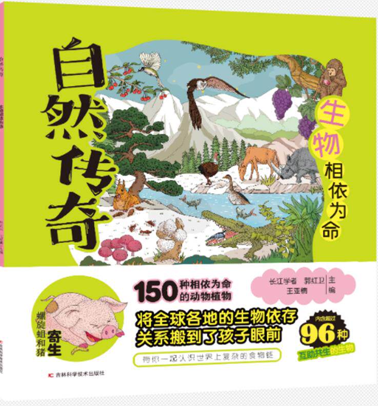 自然传奇 生物相依为命