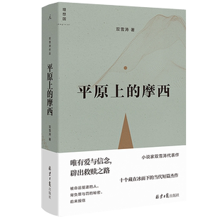理想国正版 平原上的摩西 双雪涛著全新典藏版刺杀小说家 飞行家 猎人 聋哑时代 翅鬼 周冬雨 刘昊然主演电影平原上的火焰原著小说